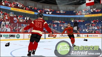 冰球竞技魅力盘点：十大必玩冰球游戏推荐精选