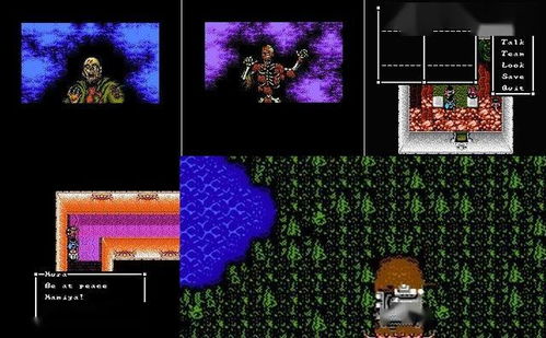 盘点十大经典不可思议迷宫，解锁沉浸式探险新体验