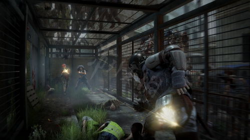 Epic喜加二!花园故事僵尸世界大战,劫后余生免费领取攻略 Epic喜加二!花园故事僵尸世界大战,劫后余生免费领取攻略