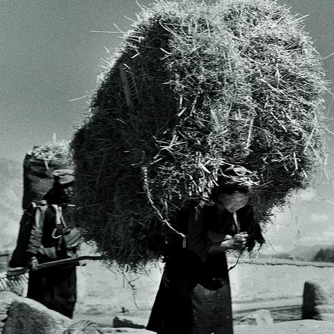 《庄园领主》贸易攻略揭秘:轻松赚钱的黄金法则 《庄园领主》贸易攻略揭秘:轻松赚钱的黄金法则