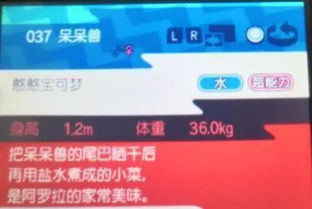 手速达人必玩!揭秘十大热门手速游戏排行 手速达人必玩!揭秘十大热门手速游戏排行