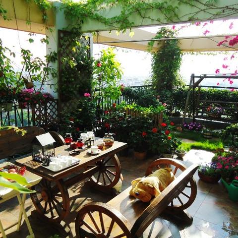 梦幻花园空中花园装修秘籍,打造绝美花园新体验 梦幻花园空中花园装修秘籍,打造绝美花园新体验