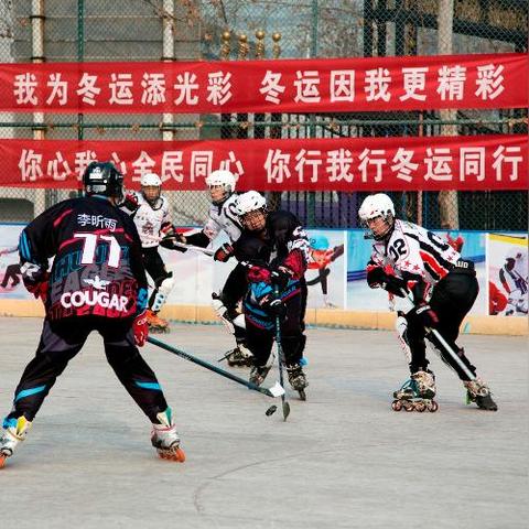 盘点最新冰球游戏,解锁竞技新境界 盘点最新冰球游戏,解锁竞技新境界