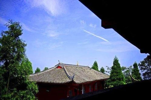 《羊了个羊》10.11第二关攻略:轻松通关秘籍大公开 《羊了个羊》10.11第二关攻略:轻松通关秘籍大公开