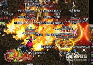 逐路争锋，紧那罗攻略：解锁全新战斗价值秘籍