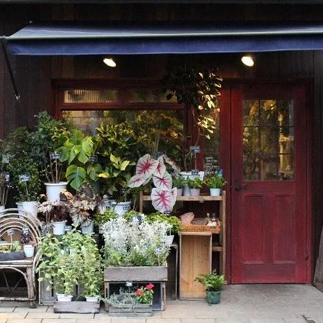 十大经典放置游戏盘点:探索沉浸新体验 十大经典放置游戏盘点:探索沉浸新体验