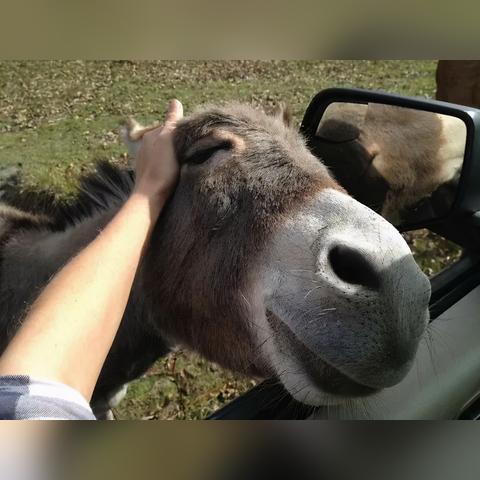 搞笑游戏盘点:揭秘十大热门好笑排行 搞笑游戏盘点:揭秘十大热门好笑排行