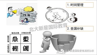 干劲提升攻略，好感度策略解析：深度解析东方归言录新价值