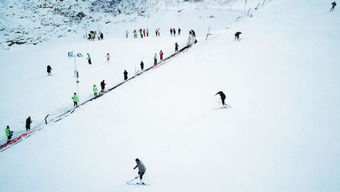 十大耐玩滑雪游戏盘点:揭秘单板滑雪乐趣无限 十大耐玩滑雪游戏盘点:揭秘单板滑雪乐趣无限