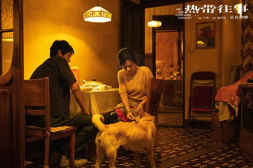 2024国战游戏盘点:揭秘热门排行榜前十佳选 2024国战游戏盘点:揭秘热门排行榜前十佳选