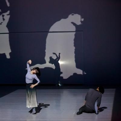 最新舞蹈游戏盘点:揭秘热门舞作推荐 最新舞蹈游戏盘点:揭秘热门舞作推荐