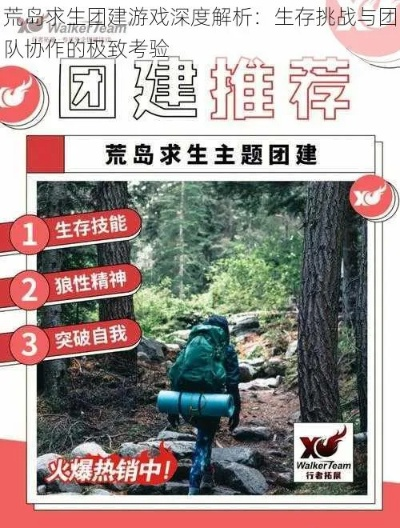 热门团队游戏深度解析，揭秘人气高玩好秘籍