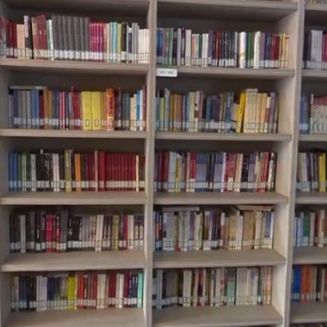 热门拟真游戏盘点:揭秘下载量高峰之作 热门拟真游戏盘点:揭秘下载量高峰之作