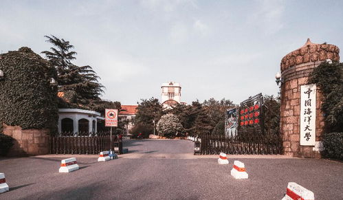 十大必玩记叙游戏盘点:揭秘沉浸式体验新高度 十大必玩记叙游戏盘点:揭秘沉浸式体验新高度