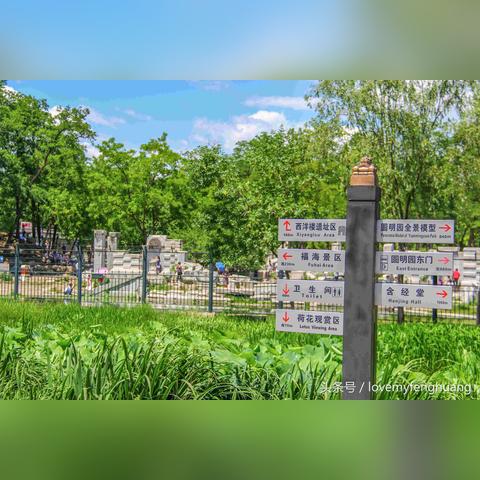 盘点热门奇趣迷宫,揭秘最受欢迎游戏排行 盘点热门奇趣迷宫,揭秘最受欢迎游戏排行