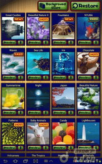 十大热门拼图游戏盘点:趣味无限,挑战你的智慧极限 十大热门拼图游戏盘点:趣味无限,挑战你的智慧极限