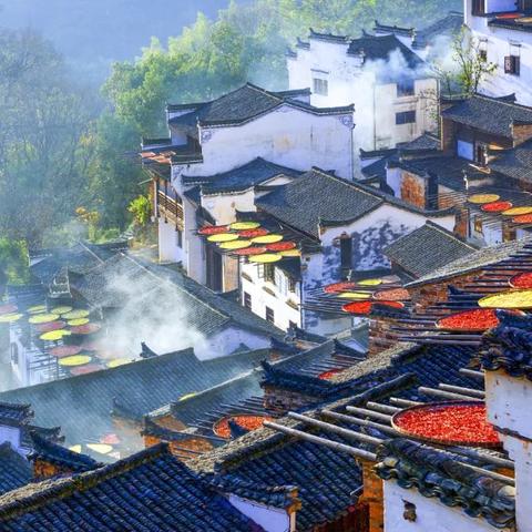 《光与影33号》独家手绘地图:明黄丰收宝藏盘点攻略 《光与影33号》独家手绘地图:明黄丰收宝藏盘点攻略