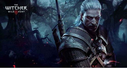 《上古5》超越普通?《巫师3》骑砍美景尽收眼底 《上古5》超越普通?《巫师3》骑砍美景尽收眼底