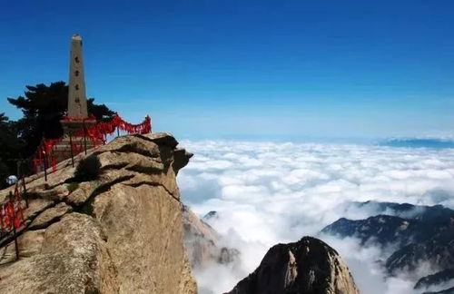 华山拜师攻略：高效入门新捷径，轻松掌握江湖绝学