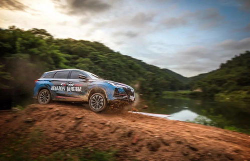 热门越野骑行巅峰之作,盘点自行车越野游戏排行新亮点 热门越野骑行巅峰之作,盘点自行车越野游戏排行新亮点