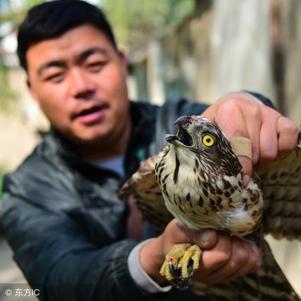 航海奇闻:深度解析复制流新玩法,探索无限探险价值 航海奇闻:深度解析复制流新玩法,探索无限探险价值