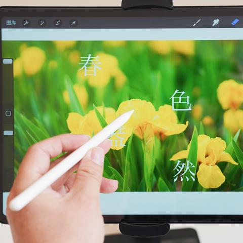 负重者卵启新篇章,帕斯卡契约挑战极限升级 负重者卵启新篇章,帕斯卡契约挑战极限升级