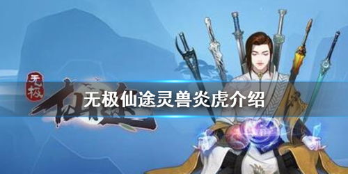 无极仙途根骨流闯关秘籍:高效攻略新视角 无极仙途根骨流闯关秘籍:高效攻略新视角