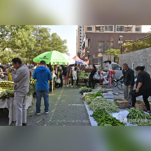 热门游戏盘点:揭秘人气巅峰,十大管理游戏排行揭晓 热门游戏盘点:揭秘人气巅峰,十大管理游戏排行揭晓