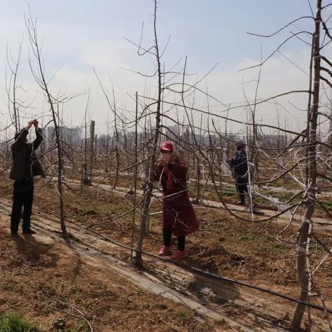 最新养成游戏速递:深度解析热门推荐 最新养成游戏速递:深度解析热门推荐
