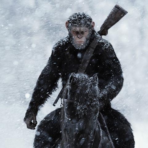 崛起:终极王者攻略秘籍,高效培养指南揭秘 崛起:终极王者攻略秘籍,高效培养指南揭秘