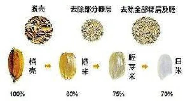 《稻姬鉴定大揭秘:如何区分真假稻米》 《稻姬鉴定大揭秘:如何区分真假稻米》