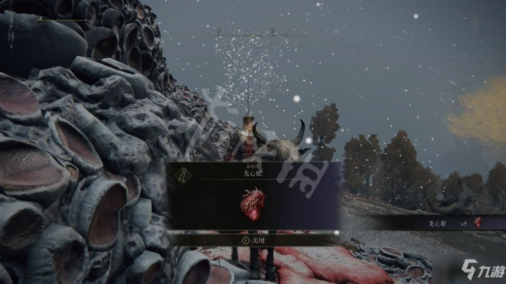 《艾尔登法环》巨龙心脏全收集攻略:隐藏位置大揭秘 《艾尔登法环》巨龙心脏全收集攻略:隐藏位置大揭秘