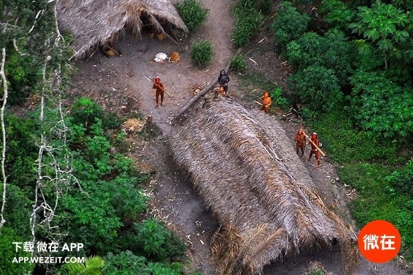 原始部落探险:动物森林新纪元 原始部落探险:动物森林新纪元