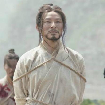 魏国武将攻略:深度解析,攒将技巧大揭秘! 魏国武将攻略:深度解析,攒将技巧大揭秘!