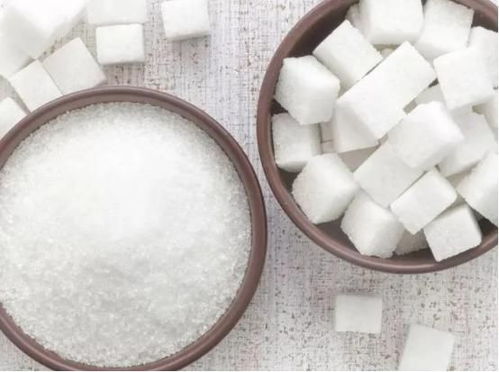 弹力果冻与方糖完美搭配,解锁全新烹饪技巧! 弹力果冻与方糖完美搭配,解锁全新烹饪技巧!