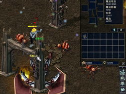 十大热门耐玩信仰游戏,揭秘经典魅力新体验 十大热门耐玩信仰游戏,揭秘经典魅力新体验