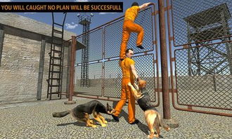 耐玩滑板游戏盘点:揭秘十大热门排行榜 耐玩滑板游戏盘点:揭秘十大热门排行榜