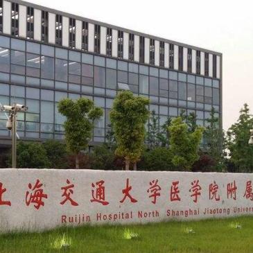 最新医疗模拟游戏盘点：精选佳作深度解析