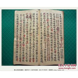 太公秘传：丹药炼制与先天至宝探寻