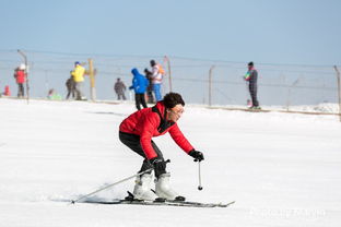 十大耐玩滑雪游戏盘点:揭秘经典滑雪乐趣新体验 十大耐玩滑雪游戏盘点:揭秘经典滑雪乐趣新体验