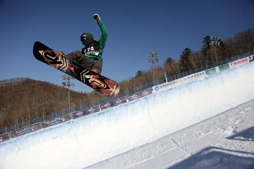 热门下载:揭秘高人气单板滑雪游戏排行前十 热门下载:揭秘高人气单板滑雪游戏排行前十