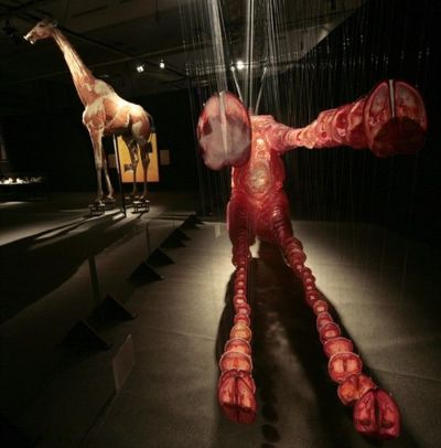 《辐射4》玩家创意无限:人体模型变火烈鸟,还原度爆表! 《辐射4》玩家创意无限:人体模型变火烈鸟,还原度爆表!