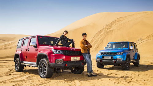 热门越野游戏盘点：揭秘哪些越野竞技更受欢迎