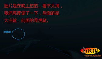 新手必读:谁是凶手生存攻略,揭秘凶手生存智慧 新手必读:谁是凶手生存攻略,揭秘凶手生存智慧