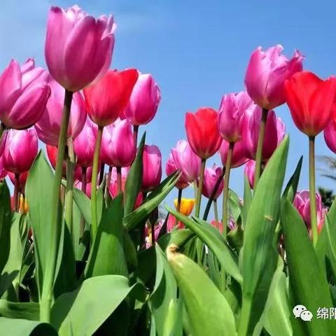 女性主角魅力绽放,盘点十大热门游戏人气女王 女性主角魅力绽放,盘点十大热门游戏人气女王