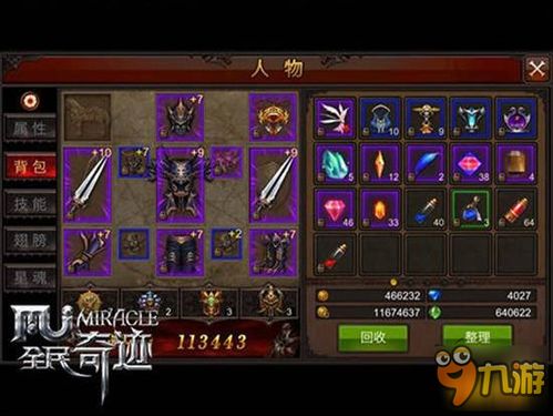 诸神皇冠血脉传承秘籍，快速提升攻略揭秘！