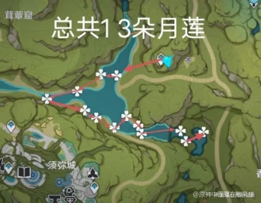 《原神》莲蓬高效采集攻略:快速获取方法揭秘 《原神》莲蓬高效采集攻略:快速获取方法揭秘