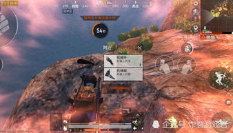 高端局制胜秘籍：和平精英生存技巧全解析