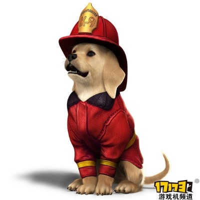 《PSV萌宠》探秘:萌犬携手寻国王宝藏之旅 《PSV萌宠》探秘:萌犬携手寻国王宝藏之旅