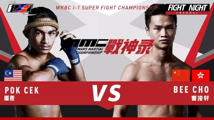 热门双人格斗巅峰对决,下载狂潮揭秘榜单 热门双人格斗巅峰对决,下载狂潮揭秘榜单